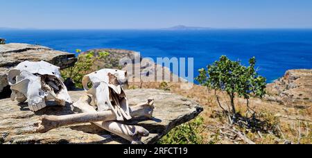 Schafsköpfe, Andros-Insel, Griechenland, Südeuropa Stockfoto