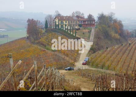 Herbstlandschaft der Region Langhe mit ihren charakteristischen Weinreben, Pidmont, Italien Stockfoto