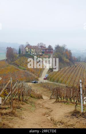 Herbstlandschaft der Region Langhe mit ihren charakteristischen Weinreben, Pidmont, Italien Stockfoto