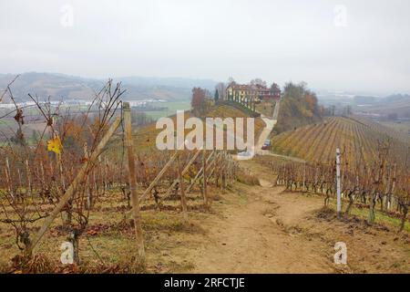 Herbstlandschaft der Region Langhe mit ihren charakteristischen Weinreben, Pidmont, Italien Stockfoto