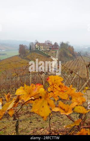 Herbstlandschaft der Region Langhe mit ihren charakteristischen Weinreben, Pidmont, Italien Stockfoto