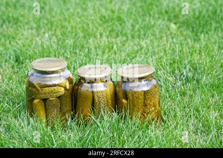 Eingelegte Gurken in Dosen in Glasgefäßen mit Deckeln auf grüner Graswiese. Hausgemachtes Essen. Stockfoto