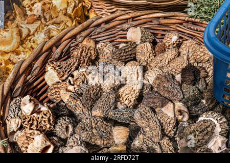 MOREL PILZE MARKT BIETEN luxuriöse seltene, teure, frische Morel Pilze auf dem Borough Market Bauernmarkt Southwark London UK Morchella ist eine Gattung von essbaren Sackpilzen, die eng mit anatomisch einfacheren Becherpilzen in der Ordnung Pezizales (Division Ascomycota) verwandt ist. Diese charakteristischen Pilze haben ein Wabenmuster aufgrund des Netzes von Graten, deren Gruben ihre Kappen bilden. Morchel werden von Gourmetköchen sehr geschätzt, insbesondere in der haut-Küche Stockfoto