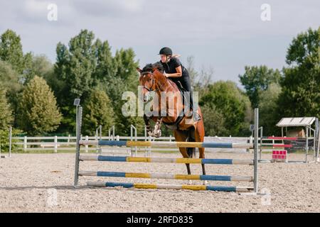 Professionelle Pferde, die den Hürdensprung auf ihrem wunderschönen Pferd in einer Outdoor-ReitArena mit Hindernissen und sandigem Boden trainieren Stockfoto