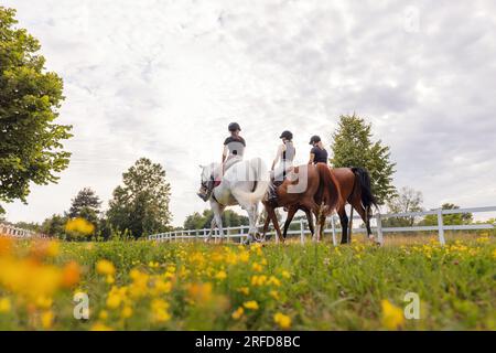 Drei Reitfrauen reiten an sonnigen Tagen Seite an Seite im Reitzentrum auf wunderschönen Pferden Stockfoto