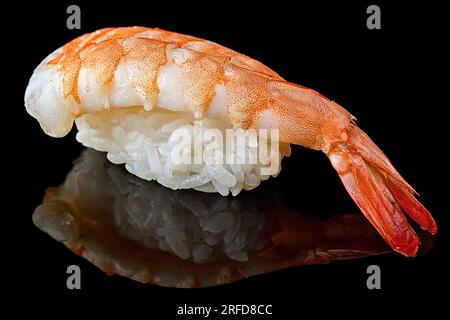 EBI Sushi mit Tigergarnelen, auf einem schwarzen Spiegel Stockfoto