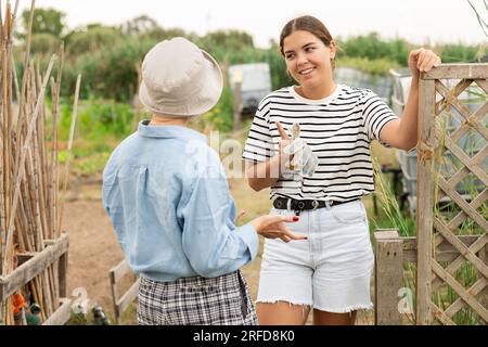 Porträt von sprechenden Kollegen auf dem Bauernhof. Stockfoto