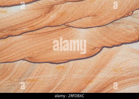 Banded Sandstone, Detail, Arizona, USA, von Dominique Braud/Dembinsky Photo Assoc Stockfoto