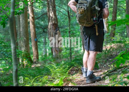 Wandern auf einem Waldweg, Wegweiser, natürliches Hintergrundbild, aktiver Lebensstil Stockfoto