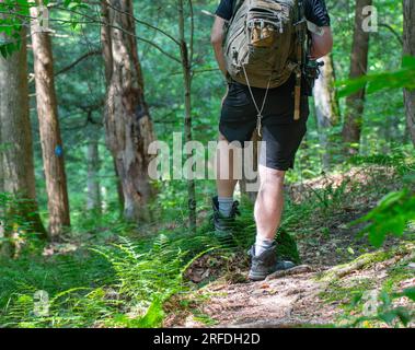 Wandern auf einem Waldweg, Wegweiser, natürliches Hintergrundbild, aktiver Lebensstil Stockfoto