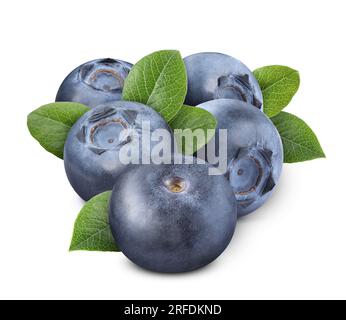 Frische reife Heidelbeeren mit grünen Blättern auf weiß isoliert Stockfoto