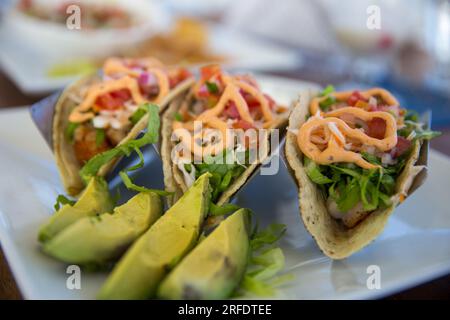 Geschwärzte Garnelen-Tacos mit Avocado Stockfoto