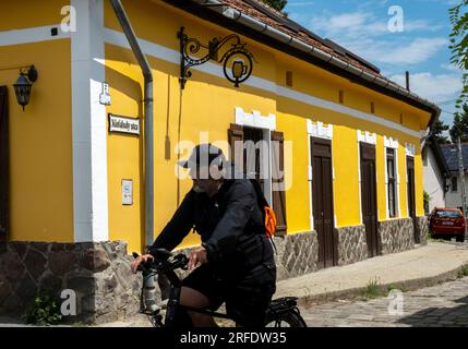 Ein Radfahrer fährt durch die Stadt Szentendre in Pest County, Ungarn. Stockfoto