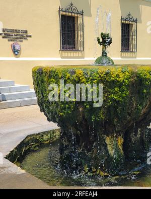 Ein Brunnen, der mit Mineralwasser aus den heißen Quellen fließt. Das Hotel befindet sich vor dem Verwaltungsgebäude im Hot Springs National Park, Arkansas, USA Stockfoto