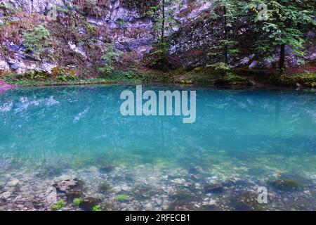 Türkisfarbene Oberfläche von Divje jezero oder Wildsee bei Idrija, Primorska, Slowenien Stockfoto