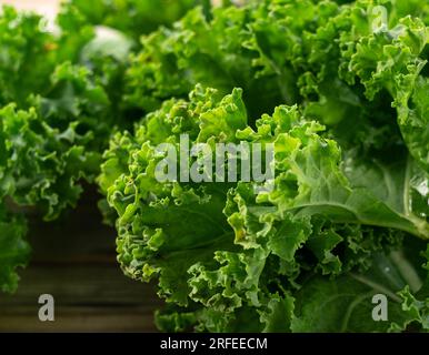 Grünkohl auf einem Holzhintergrund. Grünkohl. Nahaufnahme. Stockfoto