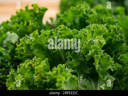 Grünkohl auf einem Holzhintergrund. Grünkohl. Nahaufnahme. Stockfoto
