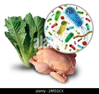 Lebensmittelbedingte Krankheitserreger sowie Bakterien und Keime auf rohem Geflügel oder grünem Blattgemüse und das Gesundheitsrisiko durch die Aufnahme kontaminierter Lebensmittel mit e c Stockfoto