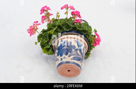 Alfarnatejo Mauern, weißes Dorf auf dem Hügel der Malaga Berge, Andalusien, Spanien. Stadthäuser Stockfoto