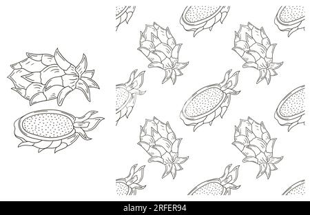 Farbmuster mit Früchten. Mit Handzeichen. Drachenfrucht, Pitaya Stock Vektor