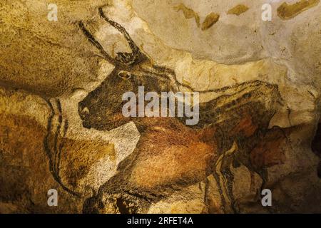 Frankreich, Dordogne, Montignac, prähistorische Stätten und dekorierte Höhlen des Vézère-Tals, das von der UNESCO zum Weltkulturerbe erklärt wurde, Lascaux 2 Stockfoto