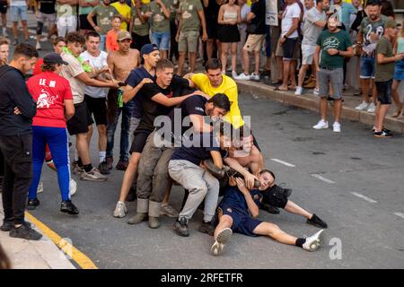 Frankreich, Gard, Aigues Vives, Bullenfestival, der Abrivado besteht darin, Stiere zu begleiten, die von Reitgehirten eingerahmt werden, und das Ziel der Teilnehmer ist es, sie zur Flucht zu bringen Stockfoto