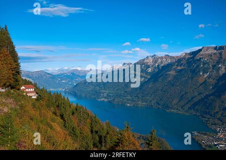 Schweiz, Kanton Bern, Interlaken, Brienzersee aus dem Harder Kulm Stockfoto