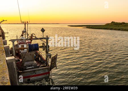 Frankreich, Somme, Baie de Somme, Le Hourdel, der kleine Fischereihafen bei Sonnenaufgang Stockfoto