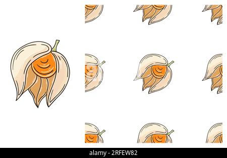 Physalis. Nahtloses Muster mit tropischen Früchten. Mit Handzeichen. Kann für Stoff, Verpackung usw. verwendet werden Stock Vektor