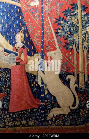 Frankreich, Paris, das UNESCO-Weltkulturerbe, Cluny Nationalmuseum des Mittelalters, die Lady Lady und das Einhorn (La Dame à la licorne) ist der moderne Titel, der einer Reihe von sechs Wandteppichen verliehen wurde, die in Flandern am Ende des 15. Jahrhunderts gewebt wurden, Mein einziger Wunsch Stockfoto