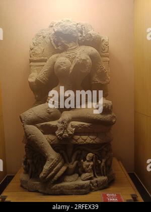 Tara, 7. Jahrhundert n. Chr. Bhubaneshwar Stockfoto