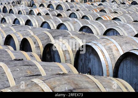 Frankreich, Herault, Marseillan, Noilly Prat (französischer Wermut aus Weißwein, der seit 1813 mit Kräutern und Gewürzen mazeriert wird), einjährige Reifung trockener Weißweine im Freien in L'Enclos Stockfoto