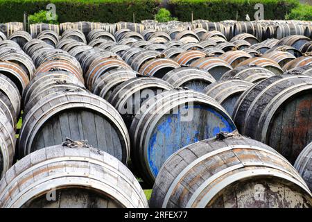 Frankreich, Herault, Marseillan, Noilly Prat (französischer Wermut aus Weißwein, der seit 1813 mit Kräutern und Gewürzen mazeriert wird), einjährige Reifung trockener Weißweine im Freien in L'Enclos Stockfoto