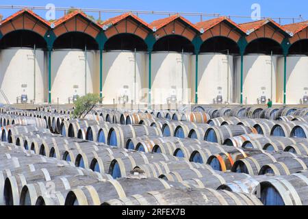 Frankreich, Herault, Marseillan, Noilly Prat (französischer Wermut aus Weißwein, der seit 1813 mit Kräutern und Gewürzen mazeriert wird), einjährige Reifung trockener Weißweine im Freien in L'Enclos Stockfoto