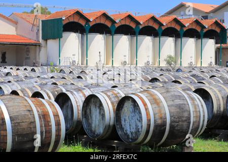 Frankreich, Herault, Marseillan, Noilly Prat (französischer Wermut aus Weißwein, der seit 1813 mit Kräutern und Gewürzen mazeriert wird), einjährige Reifung trockener Weißweine im Freien in L'Enclos Stockfoto