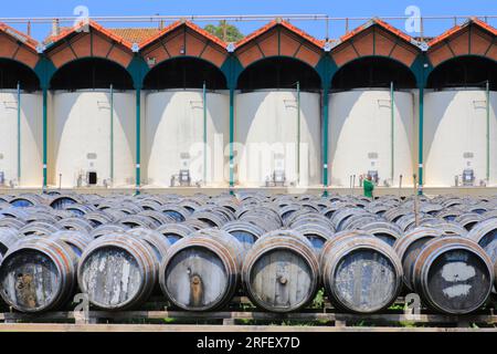 Frankreich, Herault, Marseillan, Noilly Prat (französischer Wermut aus Weißwein, der seit 1813 mit Kräutern und Gewürzen mazeriert wird), einjährige Reifung trockener Weißweine im Freien in L'Enclos Stockfoto