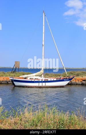 Frankreich, Herault, Marseillan, Pointe des Onlous, Naturschutzgebiet, das als Natura 2000 eingestuft und von der UNESCO zum Weltkulturerbe erklärt wurde, ist Pointe des Onlous das östliche Ende des Canal du Midi (der Ort, an dem der Canal du Midi in den Etang de Thau fließt) Stockfoto