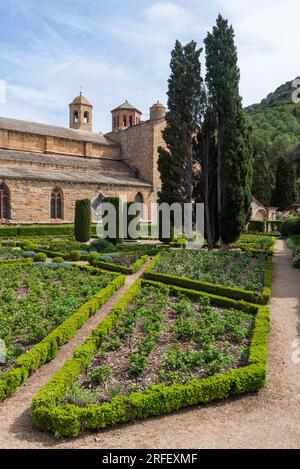 Frankreich, Aude, Narbonne, Abtei Fontfroide, Rosengarten Stockfoto