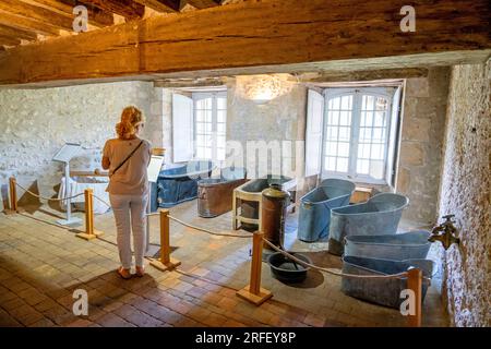 Frankreich, Loiret, Loire-Tal, das von der UNESCO zum Weltkulturerbe erklärt wurde, Meung sur Loire, das Schloss, das als historisches Denkmal gilt, alte Bäder Stockfoto