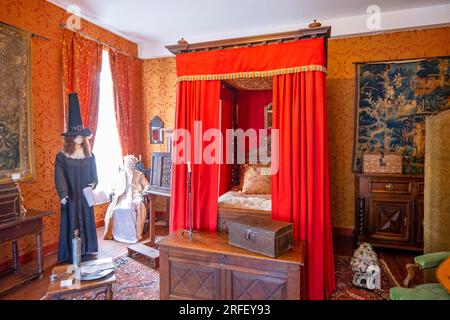 Frankreich, Loiret, Loire-Tal, das von der UNESCO zum Weltkulturerbe erklärt wurde, Meung sur Loire, das Schloss, das als historisches Denkmal gilt, das Patientenzimmer Stockfoto