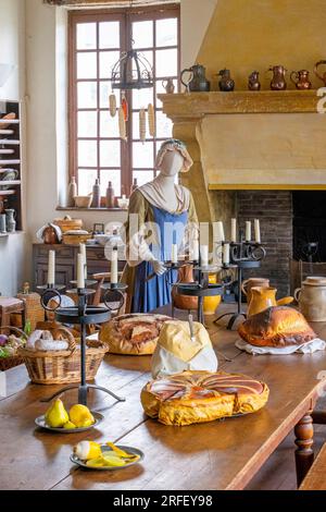 Frankreich, Loiret, Loire-Tal, das von der UNESCO zum Weltkulturerbe erklärt wurde, Meung sur Loire, das Schloss, das als historisches Denkmal gilt, die große Küche Stockfoto