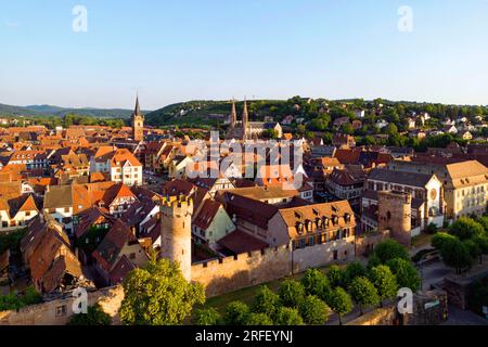 Frankreich, Bas Rhin, Obernai, allgemeiner Blick auf die Stadtmauern der Altstadt, die Kirche Saint Pierre und Paul und den Kapellturm Stockfoto