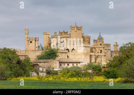 Spanien, Navarra, Olite, Königspalast (Palacio Real) Stockfoto
