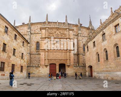 Spanien, Kastilien und Leon, Salamanca, Altstadt von Salamanca, UNESCO-Weltkulturerbe, Universitätstür Stockfoto