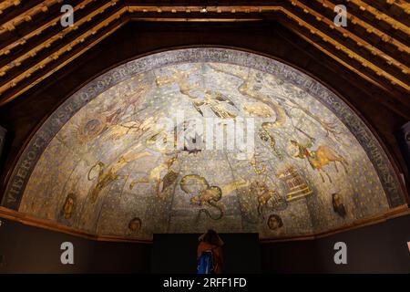 Spanien, Kastilien und Leon, Salamanca, Altstadt von Salamanca, UNESCO-Weltkulturerbe, El Cielo de Salamanca (Fernando Gallego 1743) Stockfoto