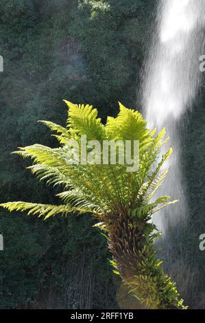 Jardin Extraordinaire, ein Garten in Nantes, Frankreich mit Wasserfall, Felsen und üppiger Vegetation. Stockfoto