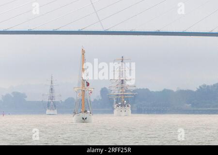 Frankreich, Calvados, Honfleur, Armada 2023, Grand Parade, Die Tallships Santa Maria Manuella, dar Mlodziezy und Statsraad Lehmkuhl segeln unter der Normandie-Brücke bei sintflutartigem Regen Stockfoto