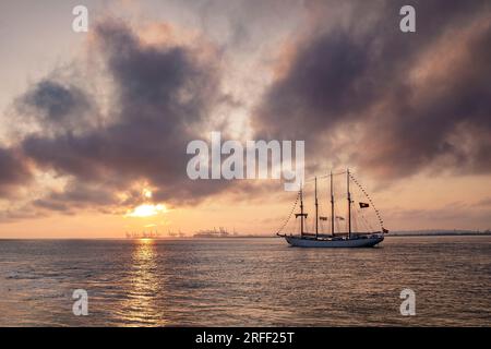 Frankreich, Calvados, Honfleur, Armada 2023, Grand Parade, Der Viermastschoner Santa Maria Manuela verlässt die Bucht der seine bei Sonnenuntergang, der Hafen von Le Havre im Hintergrund Stockfoto