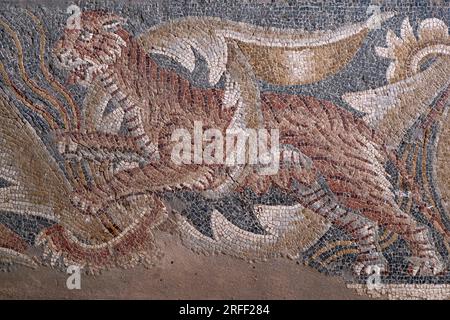 Italien, Sizilien, Region Noto, die römische Villa von Tellaro aus dem 4. Jahrhundert (Villa romana del Tellaro), Tigermosaik Stockfoto