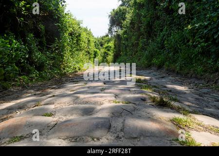 Frankreich, Departement Val d'Oise, Region Plaine Vallée Stockfoto